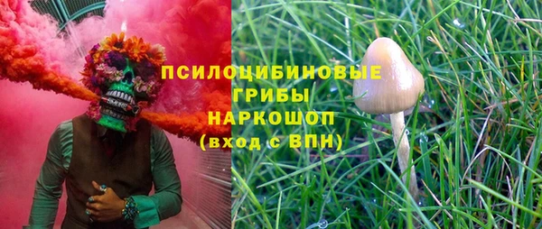 тгк Алзамай