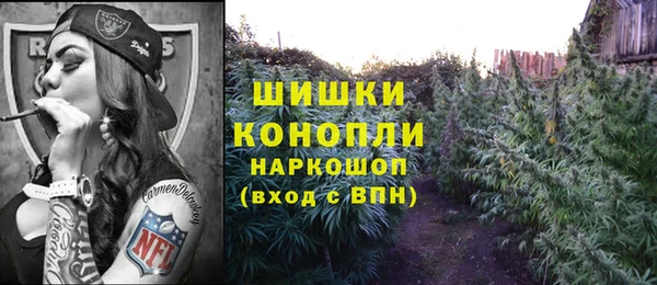 тгк Алзамай